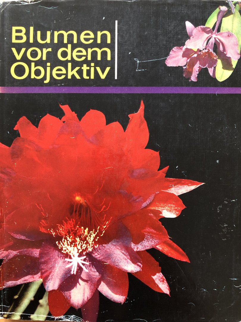 Cover von Blumen vor dem Objektiv