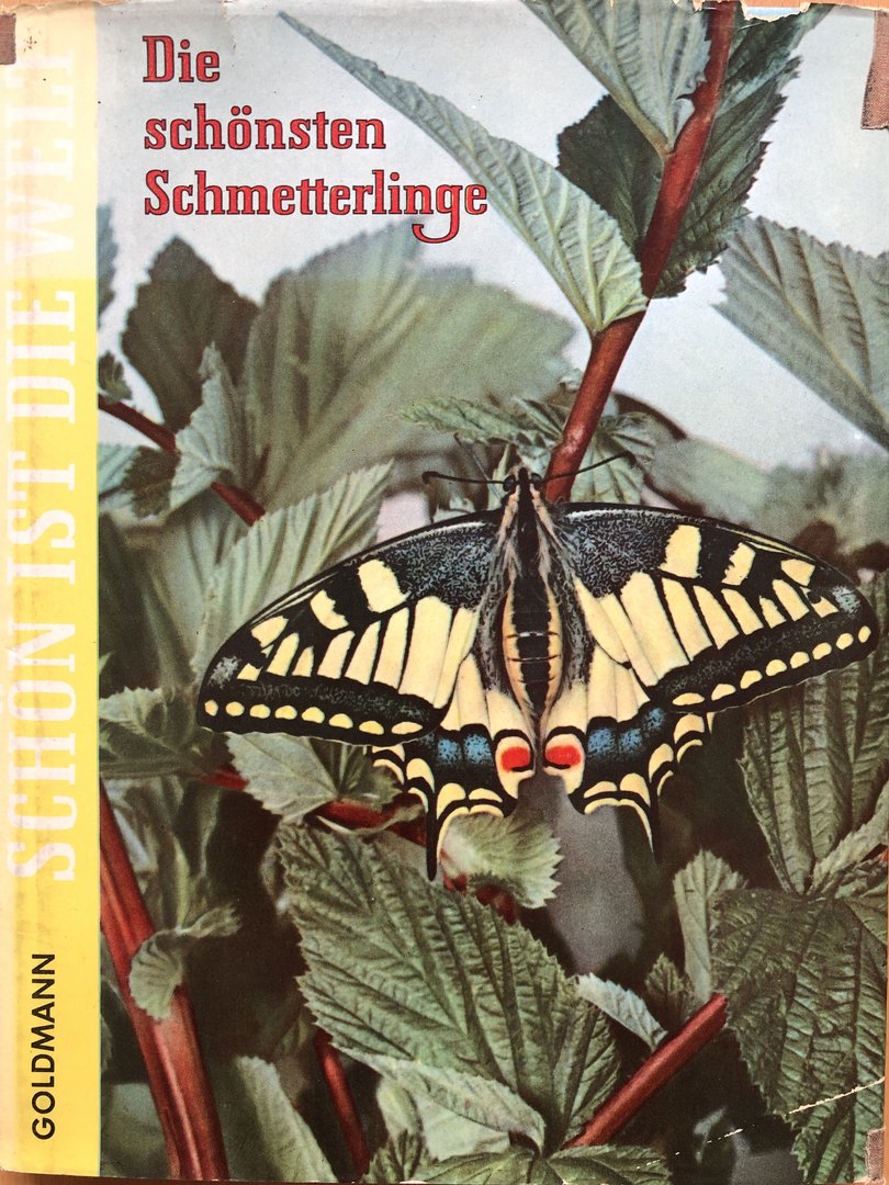 Cover von Schön ist die Welt - Die schönsten Schmetterlinge