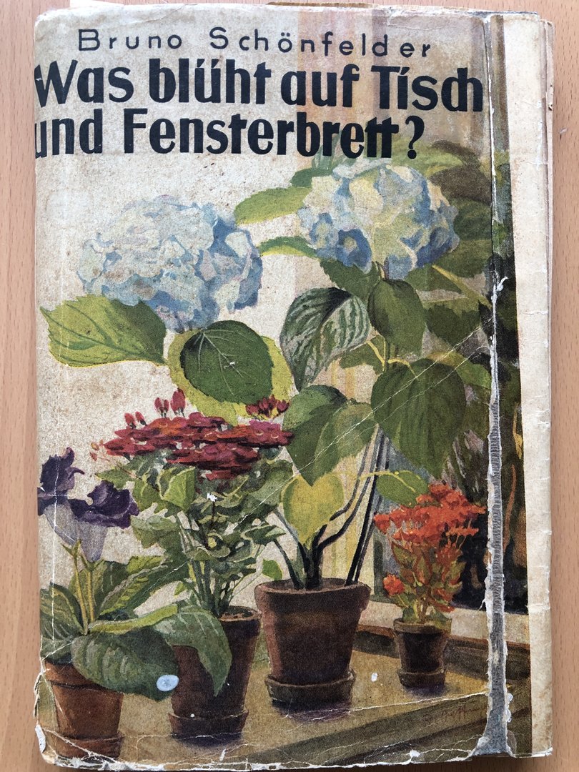 Cover von Was blüht auf Tisch und Fensterbrett